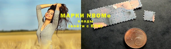 PSILOCYBIN Новозыбков