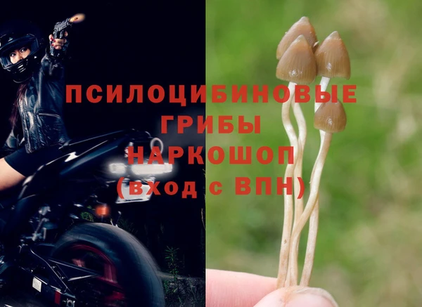 мет Армянск
