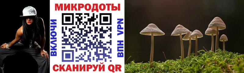 магазин продажи   Полысаево  Галлюциногенные грибы GOLDEN TEACHER 