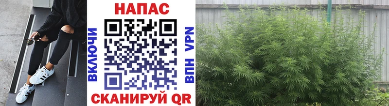 где купить   Полысаево  Каннабис Bruce Banner 